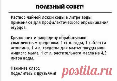 Дачный советник