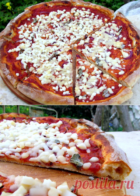 Тесто для пиццы на пшеничной закваске Кена Форкиша - unseens — ЖЖ