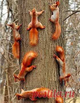 БЫВАЕТ ЖЕ ТАКАЯ КРАСОТА!!!