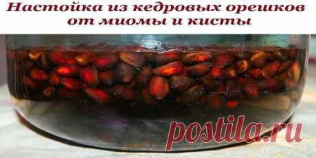 От миомы и кисты настойка из кедровых орешков | Полезные советы