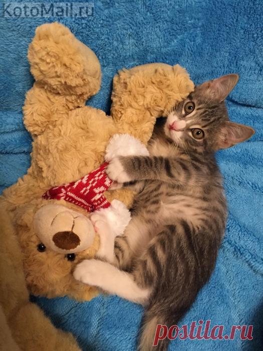 Моя любимая игрушка