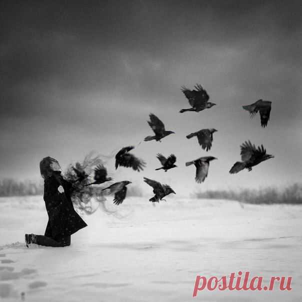 Правда - в стогу иголка...