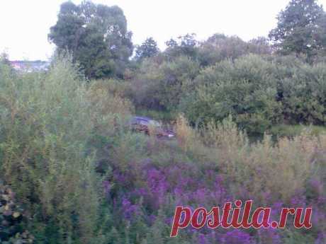 Под Уфой "Нексия" сбила подростка на велосипеде и съехала в озеро