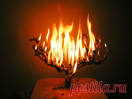 Эмоциональное выгорание (II часть)