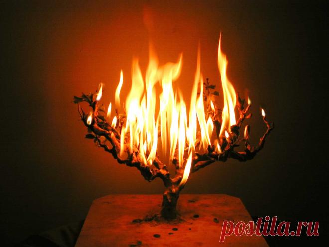 Эмоциональное выгорание (II часть)