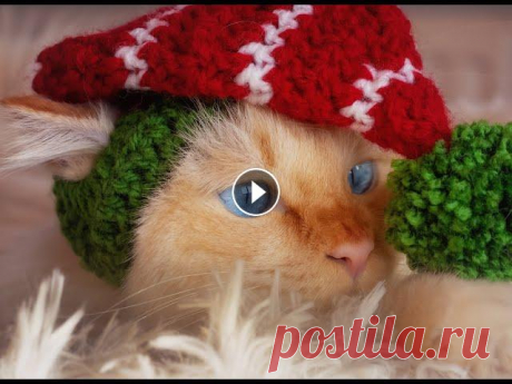 DIY. Вязание из толстой пряжи Вирджиния. Две шапки и два снуда за один день. DIY. Что можно связать за один день? Вязание из толстой пряжи Вирджиния. Две шапки и два снуда за один день. Процесс начат, процесс закончен. Один ден...