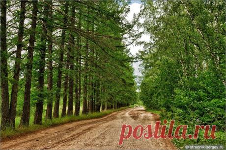 История одной русской усадьбы