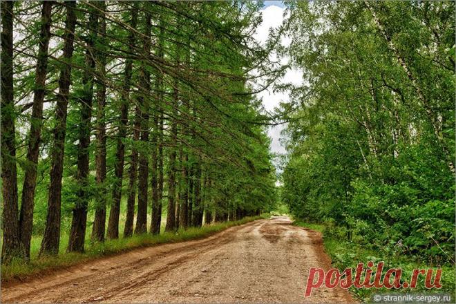 История одной русской усадьбы