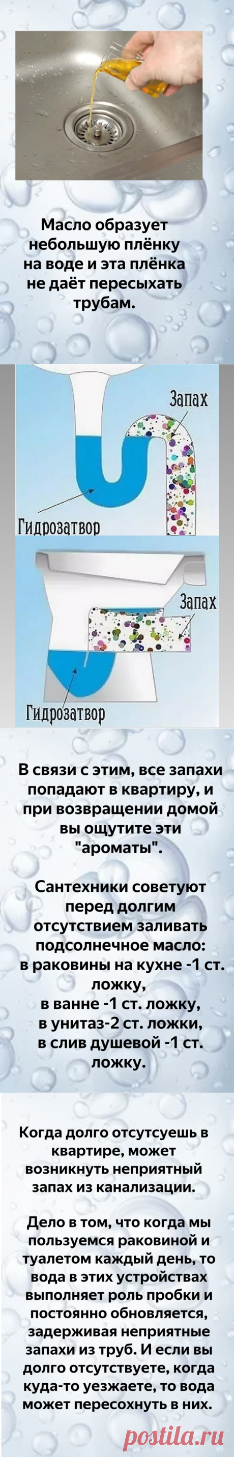 Зачем я наливаю растительное масло в унитаз. | ТРИ ПОКОЛЕНИЯ | Яндекс Дзен