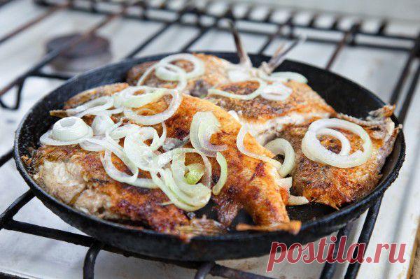 Вкусные рецепты