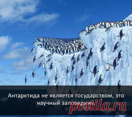 Узнай сегодня