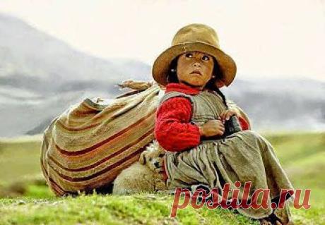 MEHMET ERDAL SEZGİNLİ – Google+