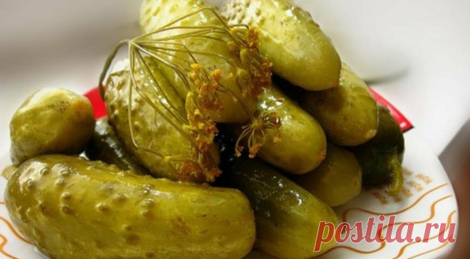 Броженые огурцы на зиму: старинный рецепт | Русская деревенская кухня | Яндекс Дзен