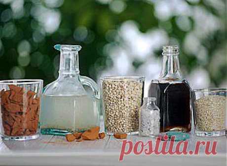 Удобрения для подкормки рассады