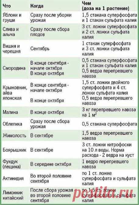 Когда нужно подкармливать свой сад