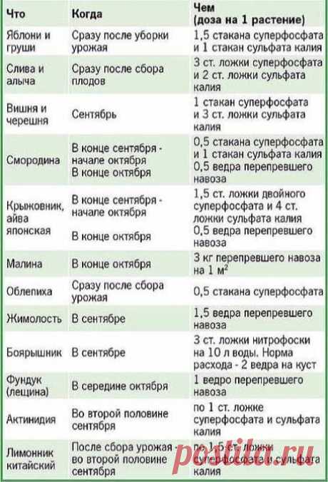 Когда нужно подкармливать свой сад