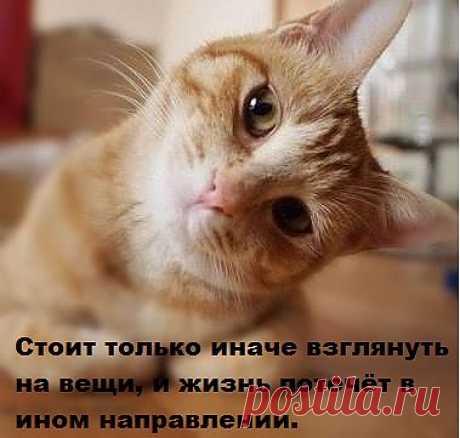 Взгляни на жизнь иначе