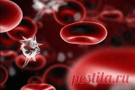 Загадка отрицательного резус-фактора крови человека