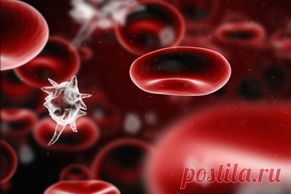 Загадка отрицательного резус-фактора крови человека