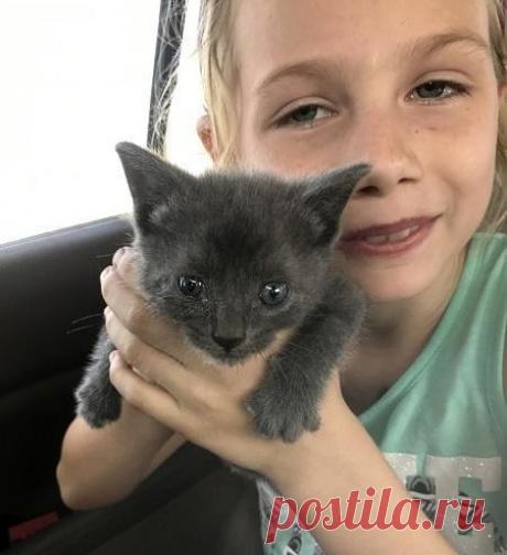 Котёнка бросили в контейнер для нищих, но маленькая девочка спасла его! Очень добрая и очень позитивная история расскажет вам сегодня о силе любви и милосердия одной семьи, и особенно маленькой девочки!
Семья Тинсли по дороге на пляж остановилась возле металлического кон…