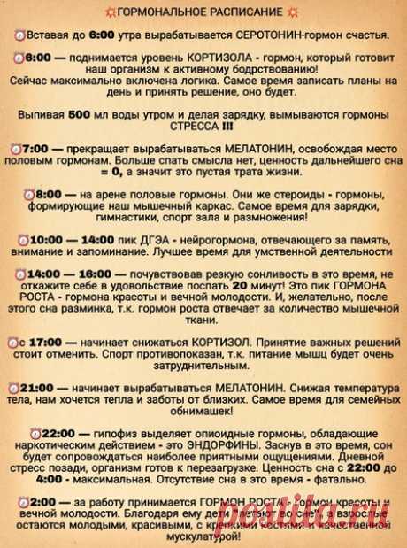 Про гормоны. Оказывается у гормонов тоже есть "часы работы".