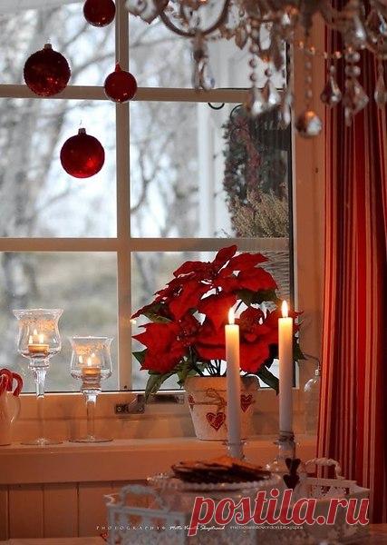 Зимою мир становится добрей
И веселей от праздничных забот
Приятно просыпаться в декабре
И знать, что скоро будет Новый год !

Украшенная елка и огни,
Подарки, стенгазета у окна.
И я, как в детстве, подгоняю дни,
Чтобы осталась только ночь одна.

Хочу за новогодний шумный стол,
Хочу салат, "Иронию судьбы",
И чтобы Дед Мороз опять пришел,
Хочу сюрпризов сказочных, любых ...