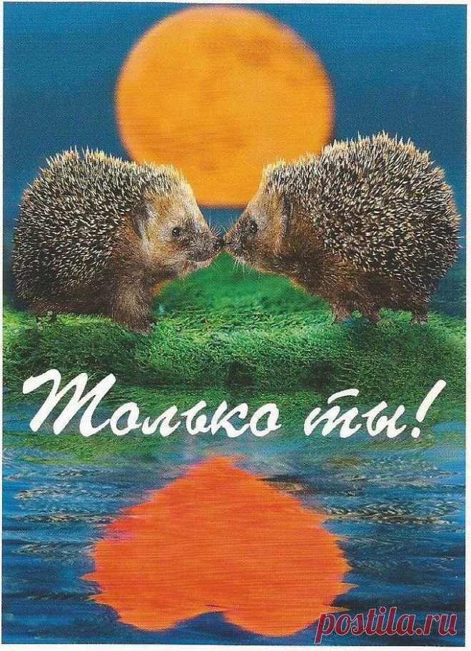 открытки