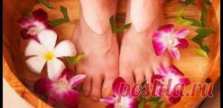 Погреем пятки! Народные способы лечения пяточной шпоры
Если у вас пяточная шпора, лечение народными средствами может стать одним из способов избавления от боли.Традиционные и народные методы лечения пяточной шпоры «мирно соседствуют» и дополняют друг с друга в борьбе.