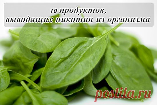 10 продуктов, выводящих никотин из организма