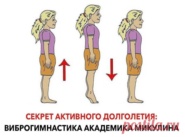 Виброгимнастика академика Микулина: секрет активного долголетия. 
Как заново родился! Эффект чувствуется мгновенно!

Когда у академика Александра Александровича Микулина, знаменитого авиаконструктора, создателя поршневых, турбовинтовых и турбореактивных двигателей для самолетов, начались проблемы со здоровьем, он увлекся разработкой методик, позволяющих забыть о болезнях и прожить долгую, полноценную жизнь.
Секрет долголетия

Академик Микулин создал гимнастику, состоящую и...