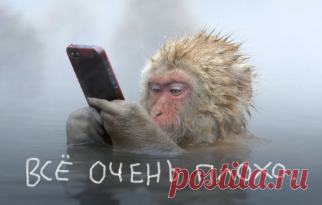 Как дизайнеру общаться с разработчиками - Дизайн-кабак
И вместо «ого, круто, молодцы» они не хотят слышать «У вас руки из жопы, все надо переделать»