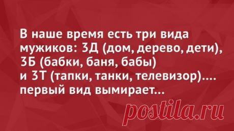 Картинки с юмором: прикольные надписи и фразы | В темпі життя