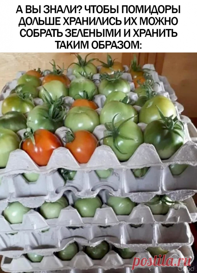 Вариант хранения помидоров