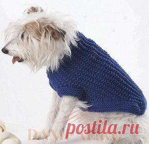 Пальто для собаки | DAMские PALьчики. ru
