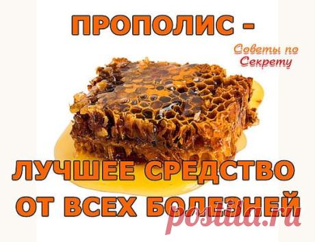 Прополис - лучшее средство от всех болезней.