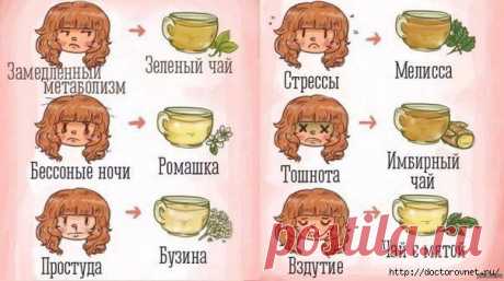 Отвары и чаи