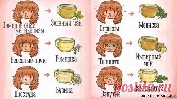 Отвары и чаи