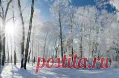 27 февраля в народном календаре Кирилл Весноуказчик