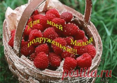 (1) Одноклассники
