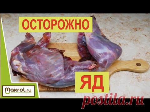 ✅Польза и ВРЕД мясо кролика. Выбирать ВАМ!