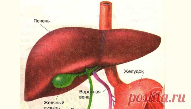 Почему происходит выброс желчи в желудок и как лечить рефлюкс