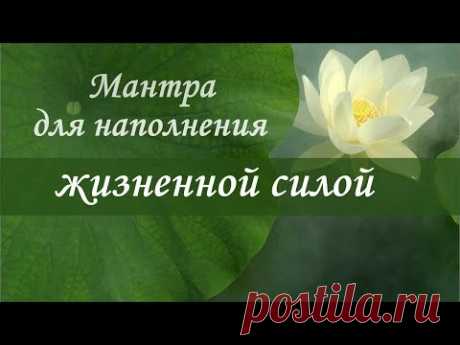 Мантра ЖИЗНЕННОЙ СИЛЫ✦ ИСЦЕЛЕНИЯ✦ ДУШЕВНОГО ПОКОЯ