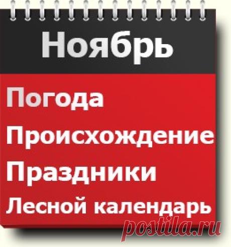 #Ноябрь: происхождение, погода, астрономический и лесной календарь, гороскоп друидов, праздники, приметы