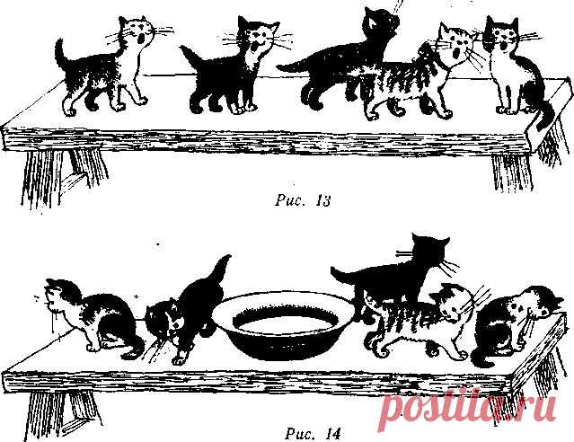 демонстрационный материал у тети кати пять котят - Поиск в Google