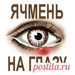 Как вылечить ячмень на глазу народными методами — Всегда в форме!
