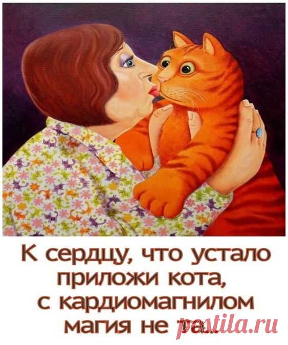 (6) Pinterest