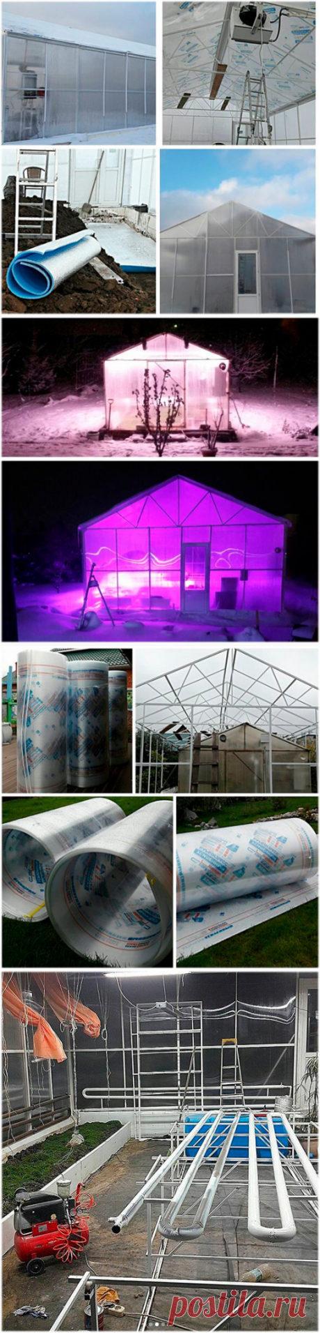 Теплица в теплице, или как поэтапно увеличить теплицу( в картинках)! | Блоги о даче, рецептах, рыбалке
#Садидача, #Теплицы, #Сделайсам

Привет мой любимый читатель, всем Авирго!

Как я уже писал в одной из предыдущих статей у меня есть друзья увлечённые замечательным цветком — Пеларгония (герань), они настолько им увлечены, что заразили своим увлечением многих!