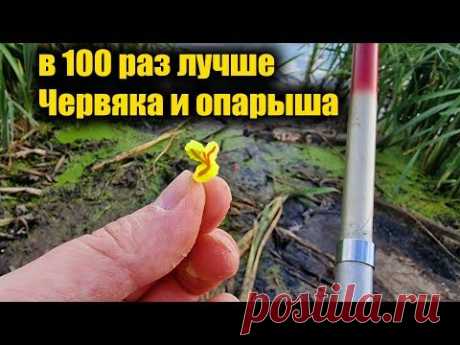 4 года от неё дуреет вся рыба! Супер рыболовная насадка для карася и карпа летом и осенью