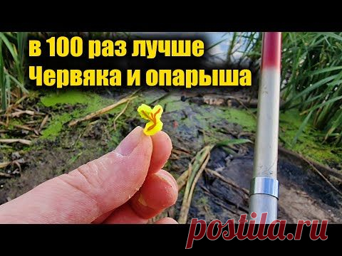 4 года от неё дуреет вся рыба! Супер рыболовная насадка для карася и карпа летом и осенью