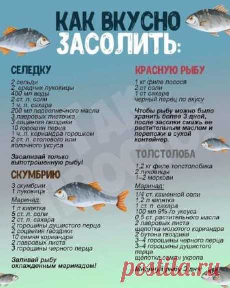 &gt;УДОБНАЯ НАПОМИНАЛКА!. Обсуждение на Блоги на Труде